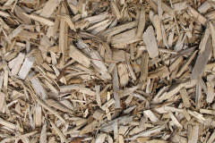 biomass boilers Jamphlars